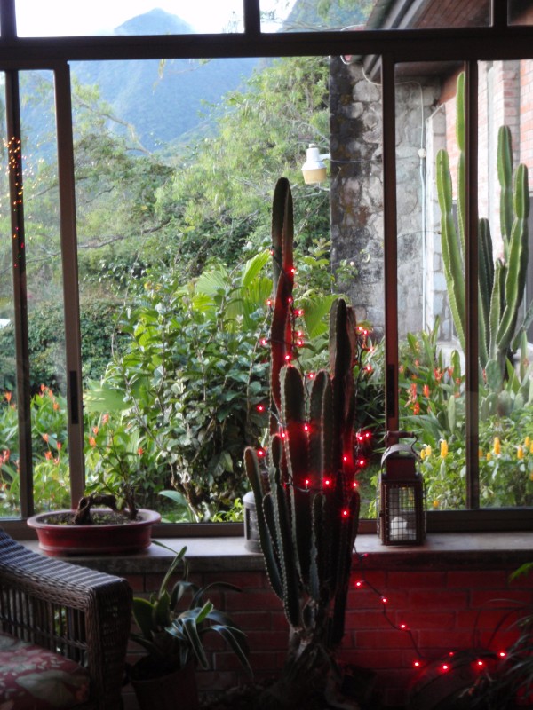Christmas in the Mountains