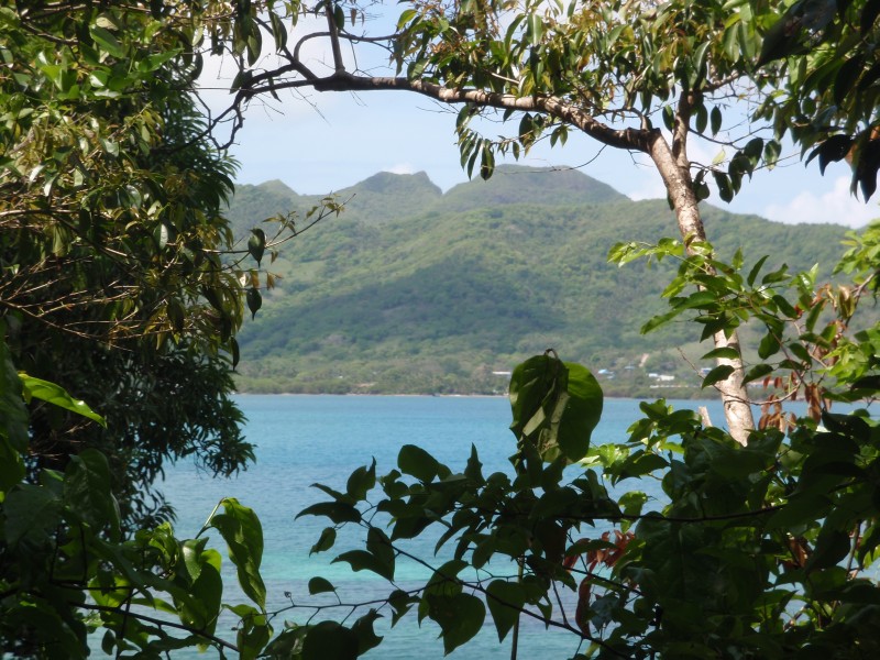 Old Town Bay