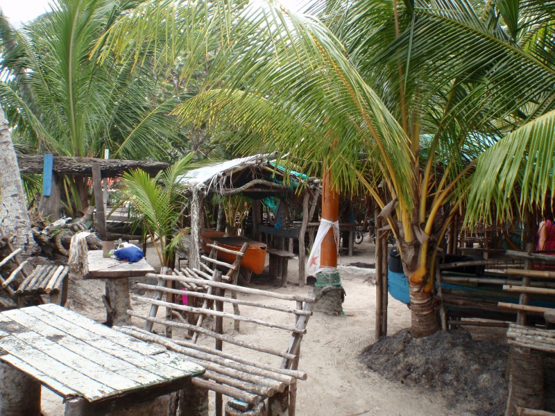 Roland's Roots Bar