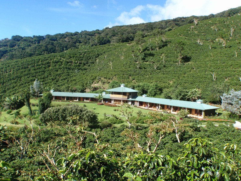 Finca Lerida