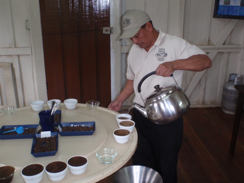Cupping Room