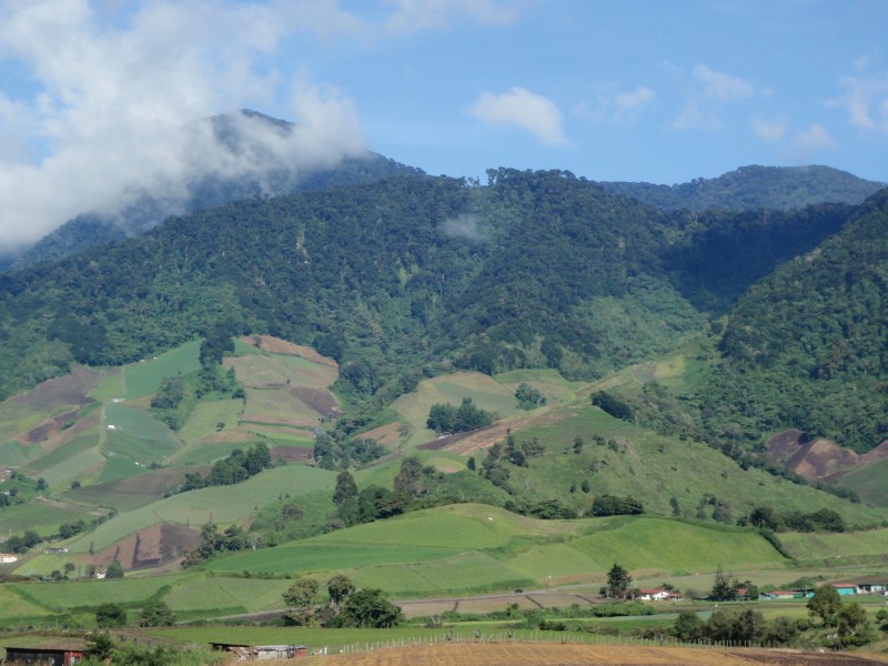 Cerro Punta