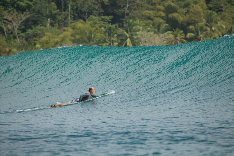 Paunch Set Wave