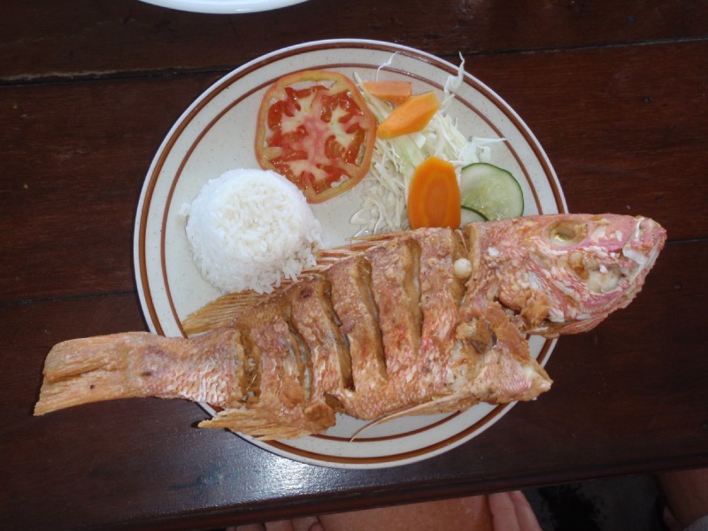 Lunch