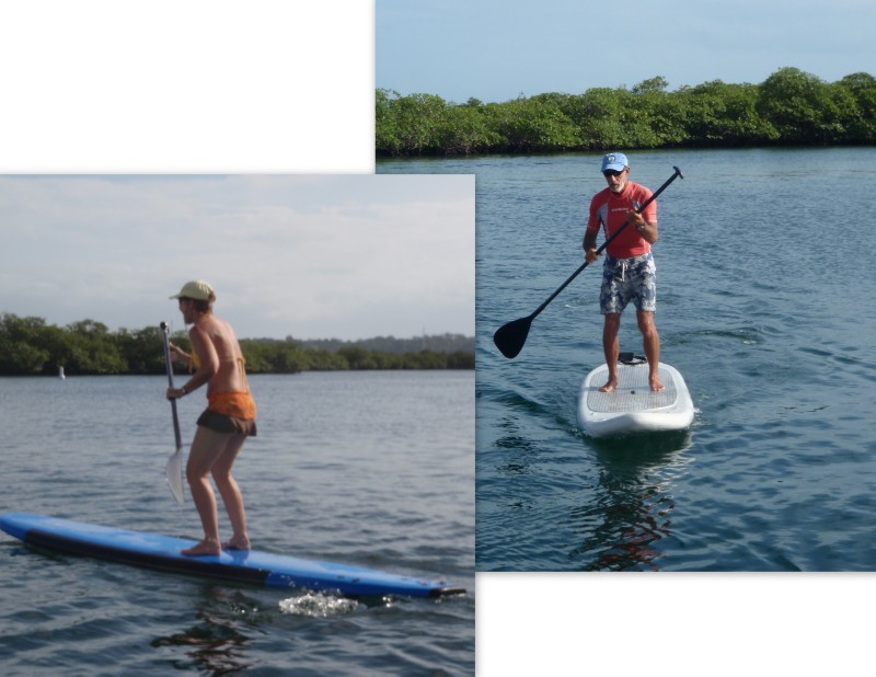 Stand Up Paddleboard (SUP)