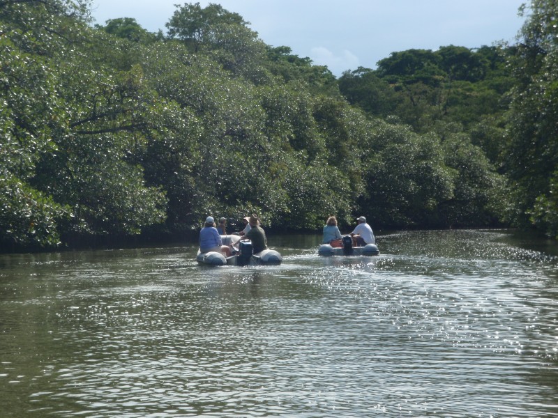 Cowchara River Tour