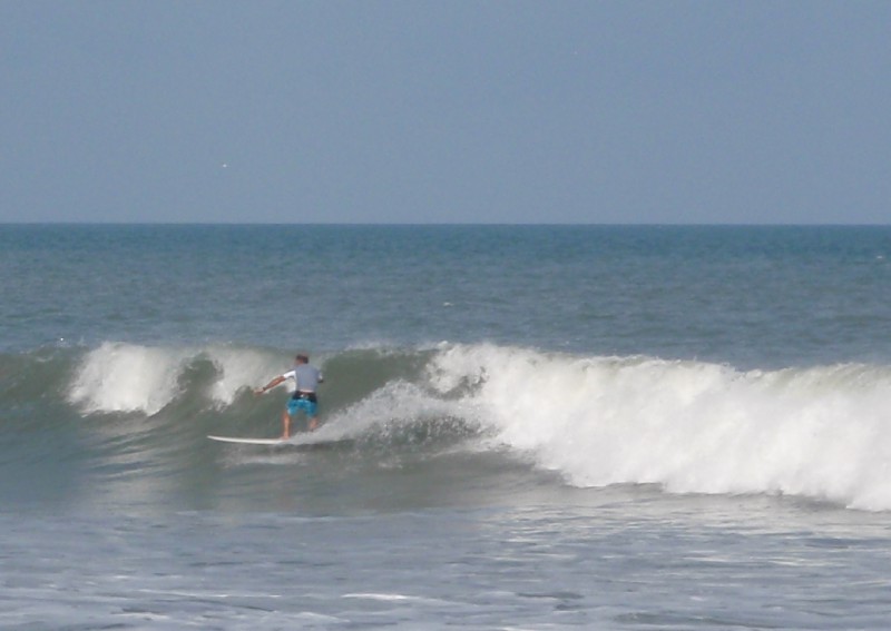 Punta Palmar