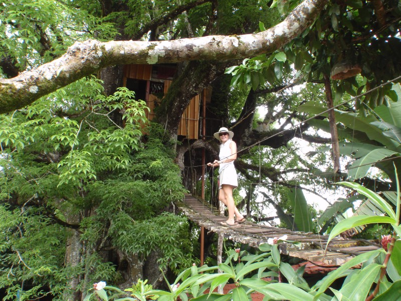 La Casa del Ceiba