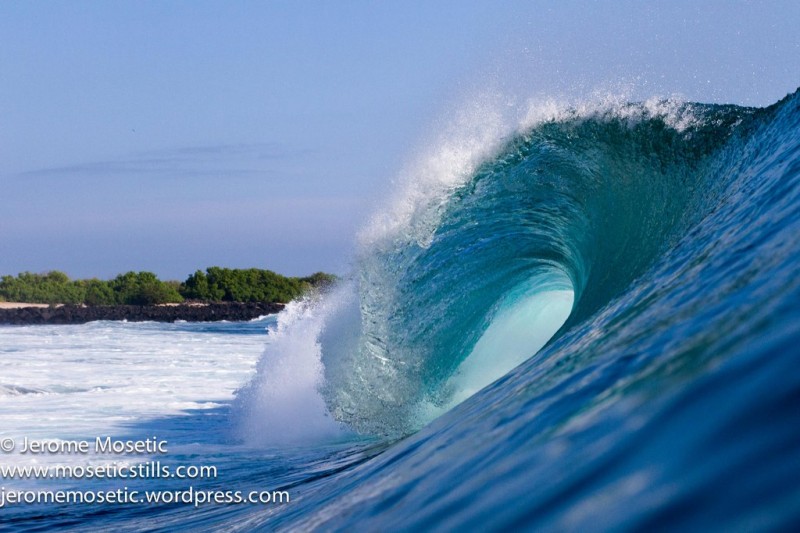 B. Loberia Wave