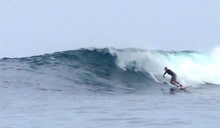 D. Pt. Carola Galapagos Steve