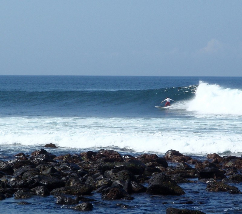 D. Surf Loberia