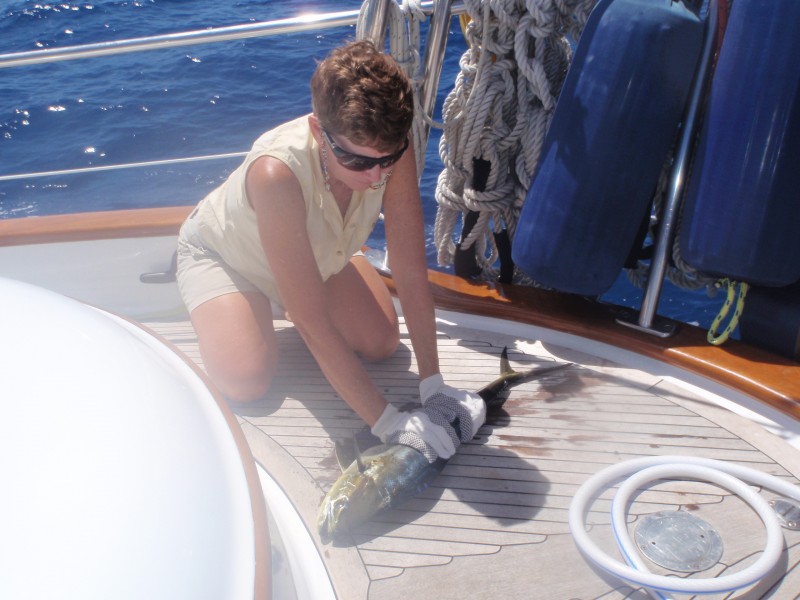 B. Fresh Fish