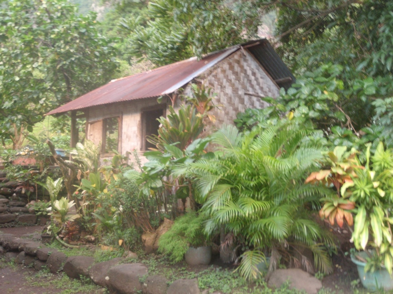 M2. Marquesas Thatched House