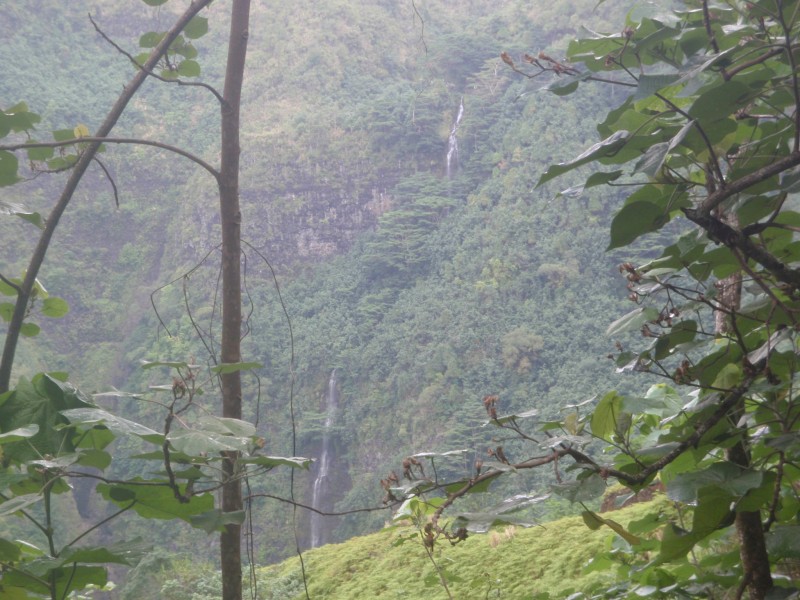 Two Tier Waterfall