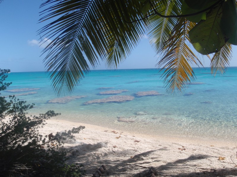 The view from the hammock