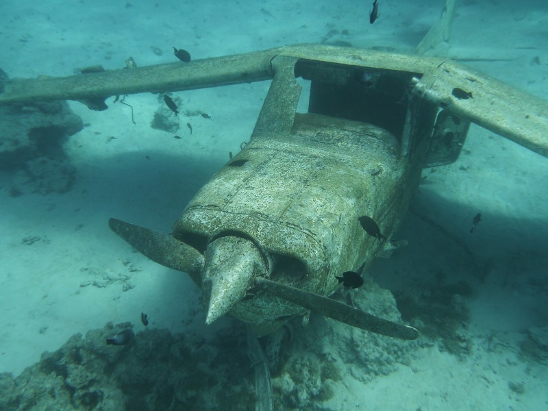 Plane Wreck