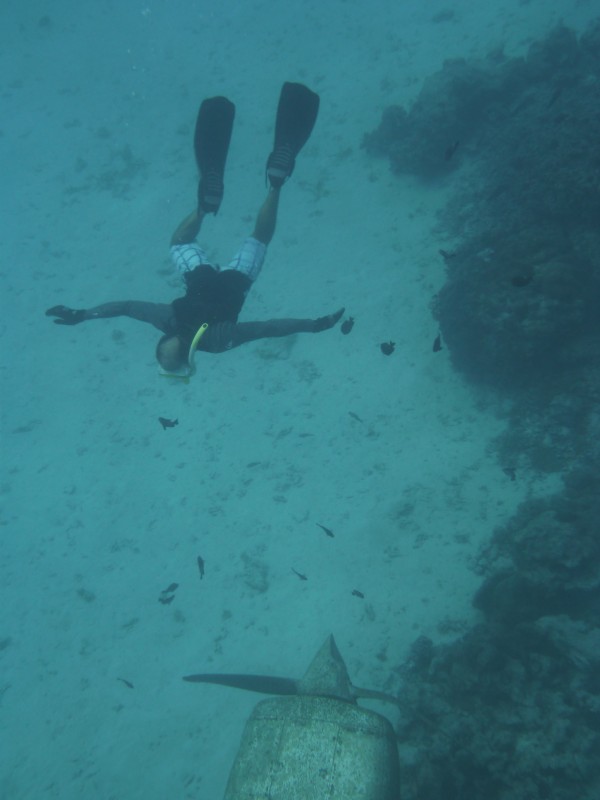 Steve with Plane Wreck