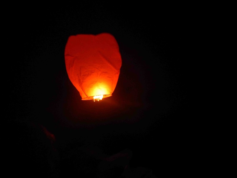 Magic Lantern Flys