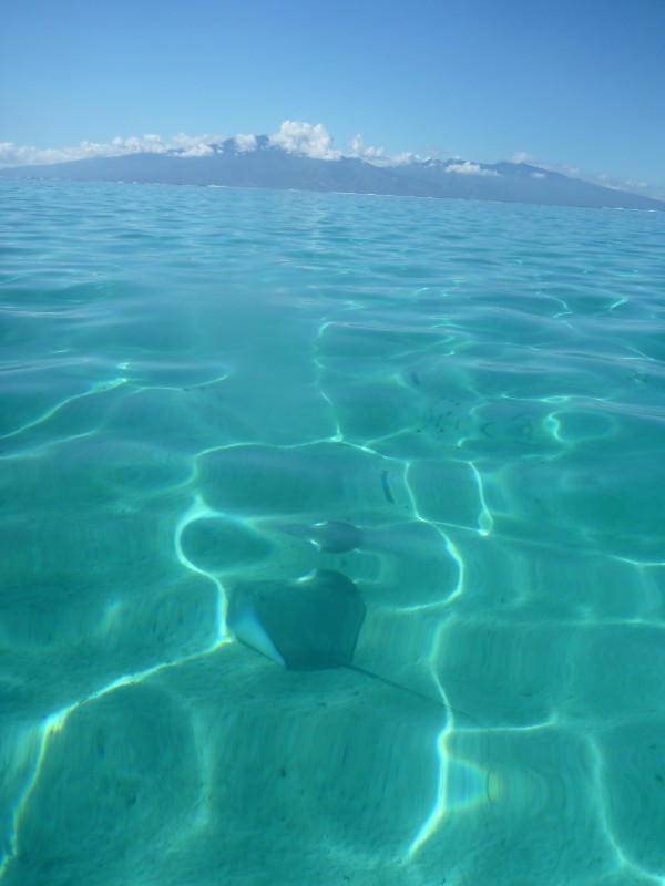 Tahiti in the background