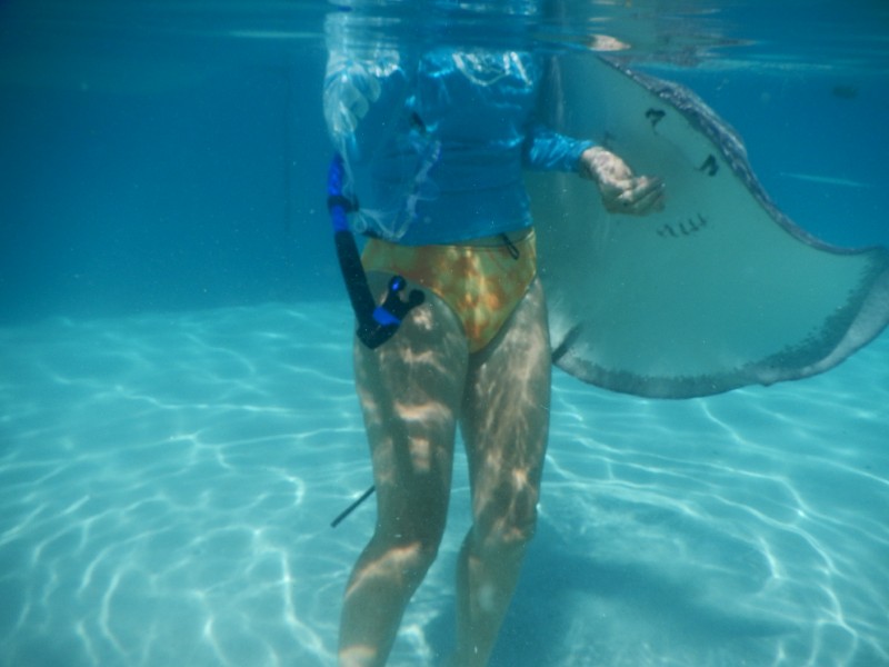 Lili Feeds the Rays