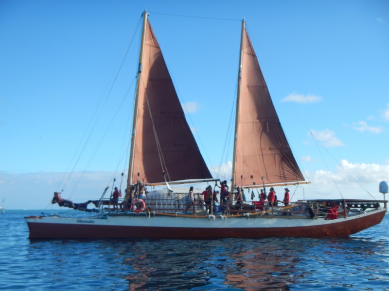 Hikianalia