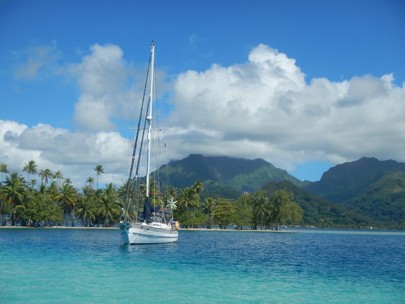 Motu Tipaemau