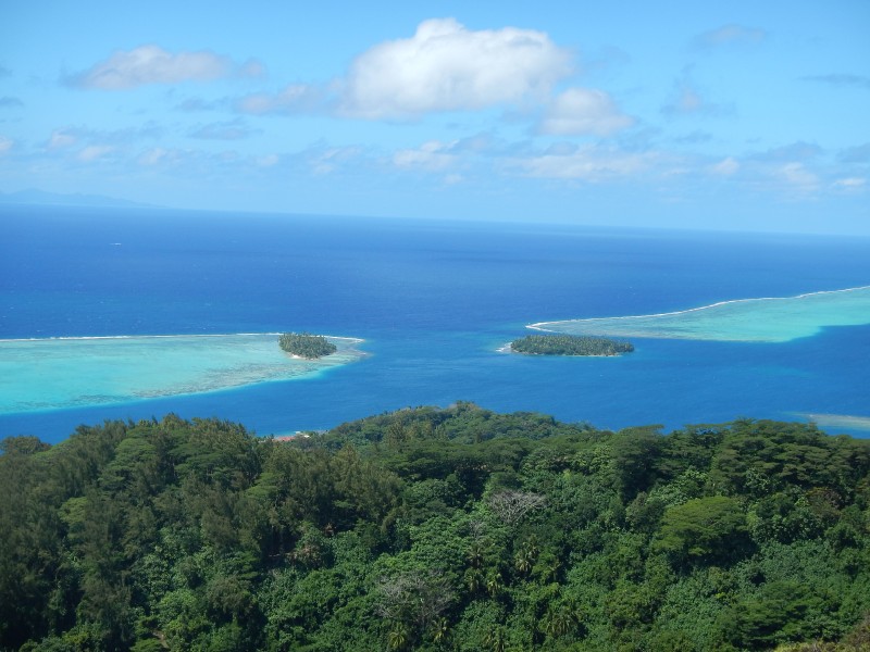 Typical Reef Pass