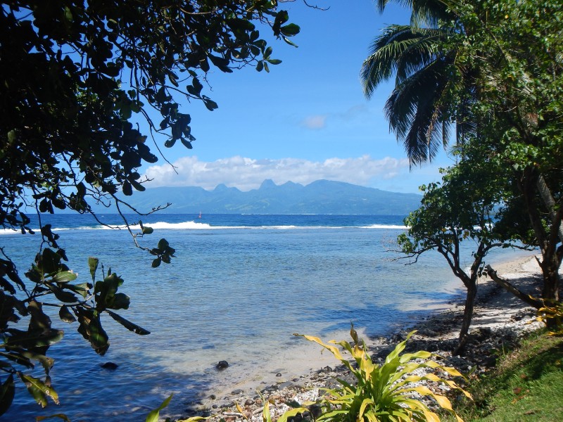 Tahiti View
