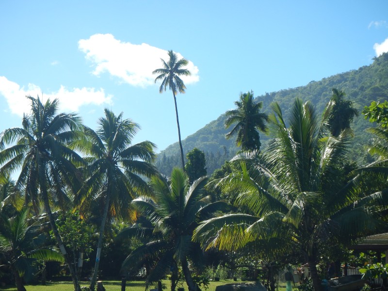 Tahiti Interior