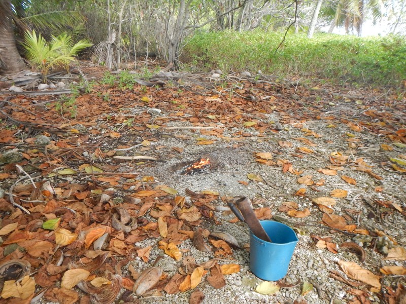 Taking Out the Trash Polynesian Style