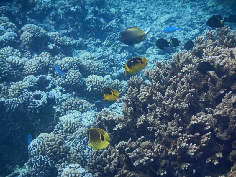 Fakarava South Pass