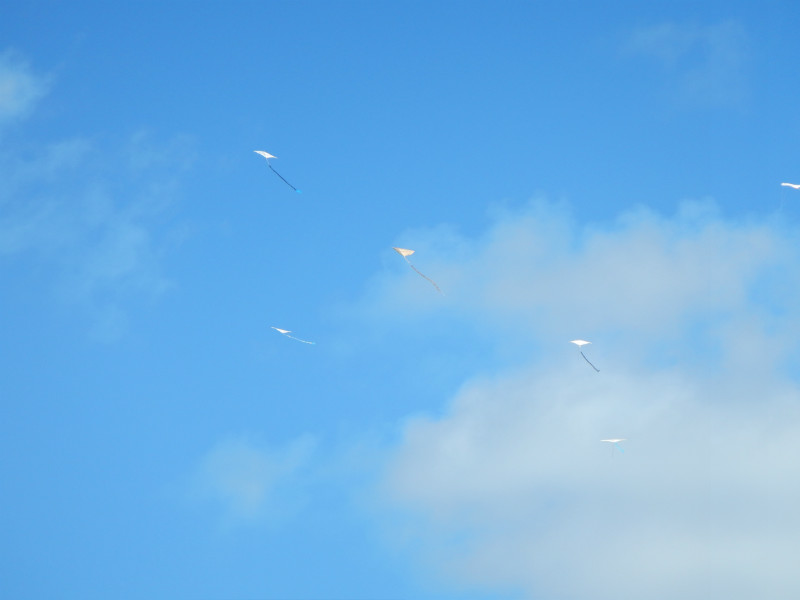 Traditional Kite Flying