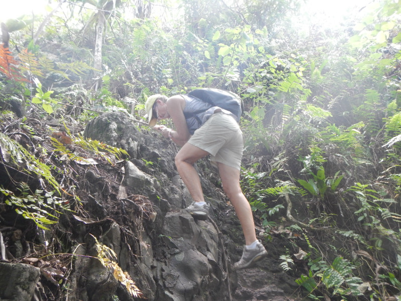 Lili Climbing Up