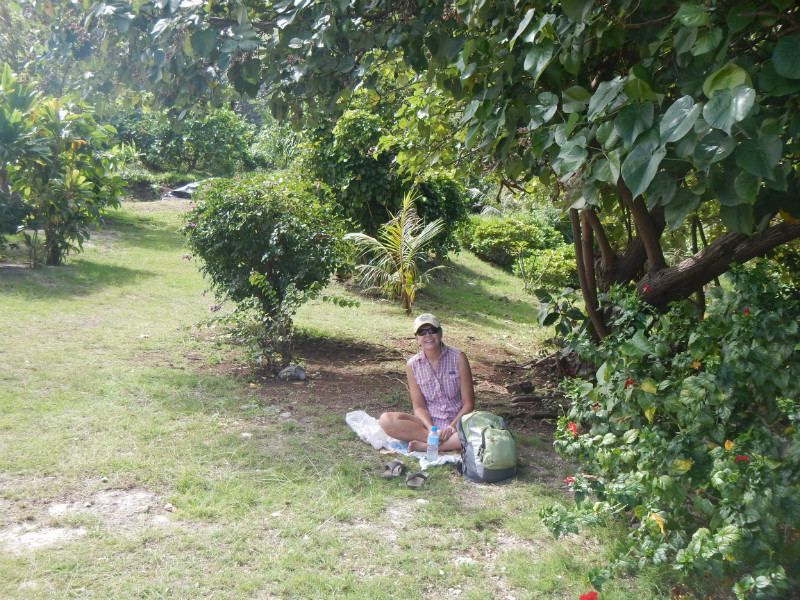 Picnic