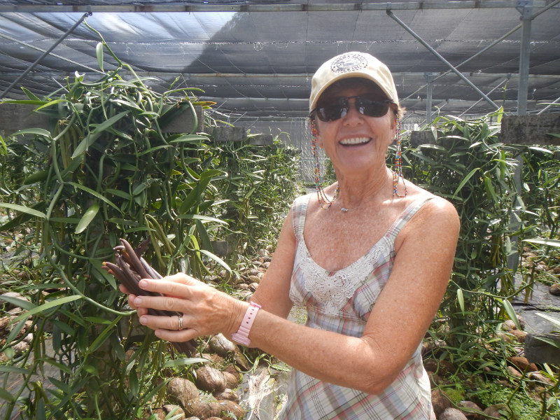 Vanilla Picking