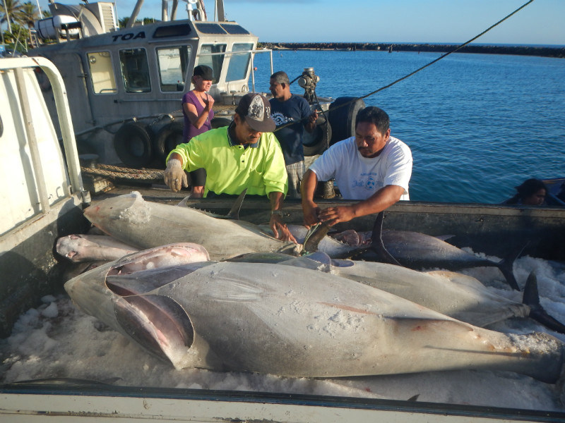 Great Fishing