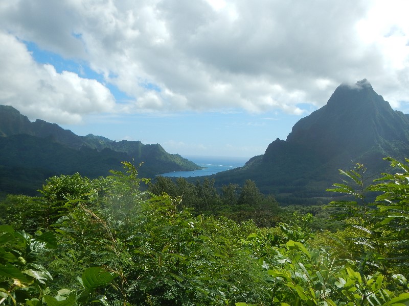 6. Moorea's Belvedere