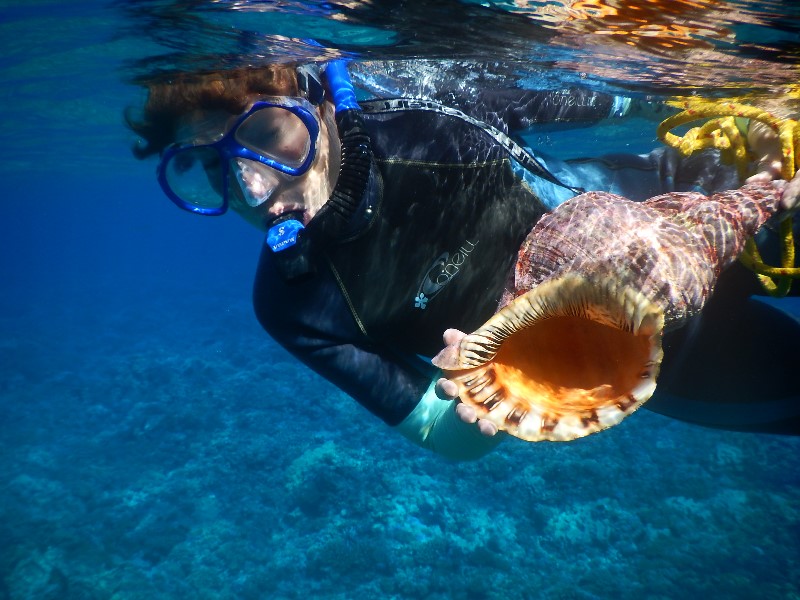 28. Shell of a lifetime