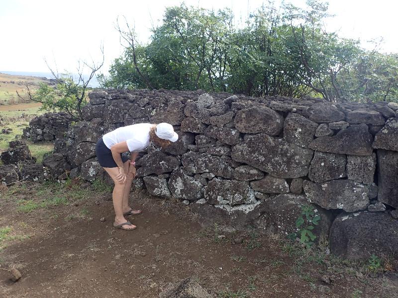 Rapa Nui Chicken Coop