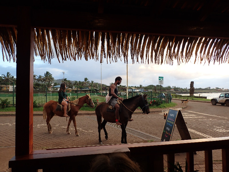 Rapa Nui Horses