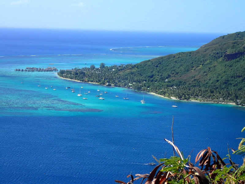 Moorea Mountain Hike