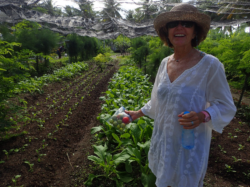Garden of Eden for vegetables