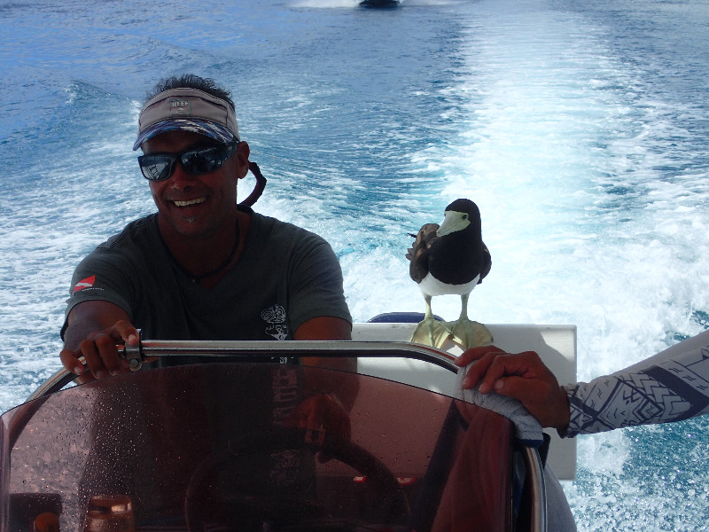 Moorea tour