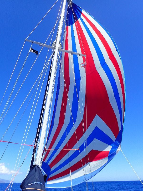 Spinnaker Sailing back to Tahiti