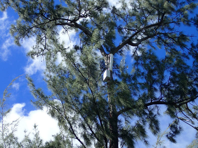 Moorea WIFI
