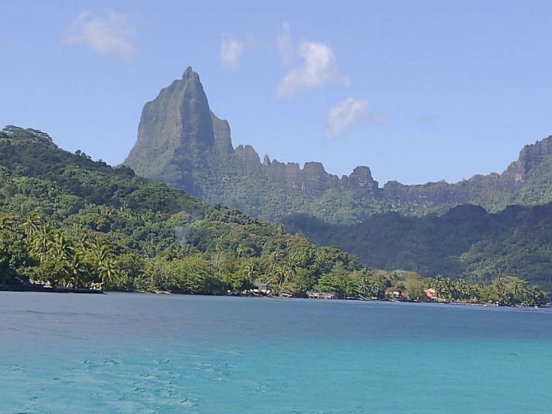 Back to Moorea