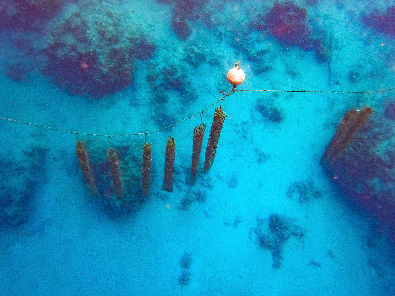 Pearl Farm in Tahaa