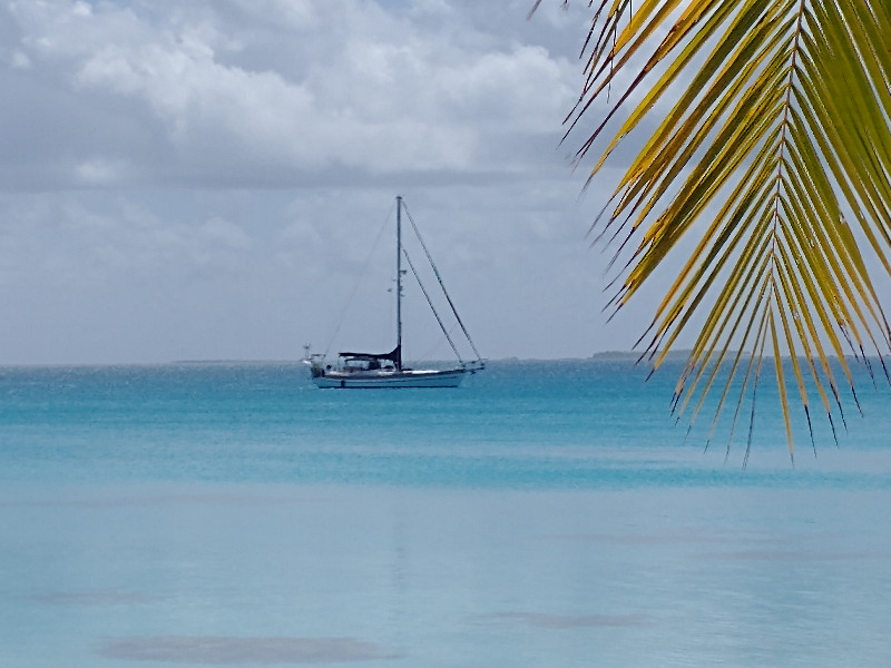 Liward in Tikehau