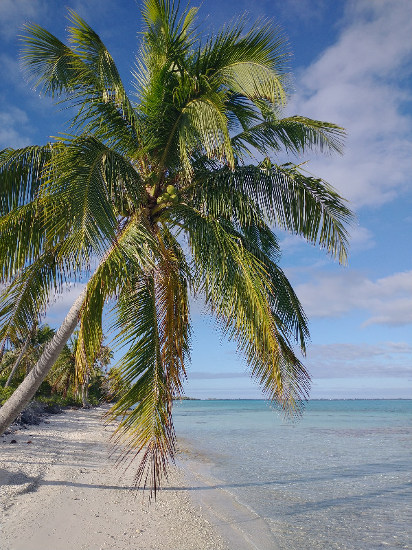 Hirifa, Fakarava, Tuamotus, French Polynesia