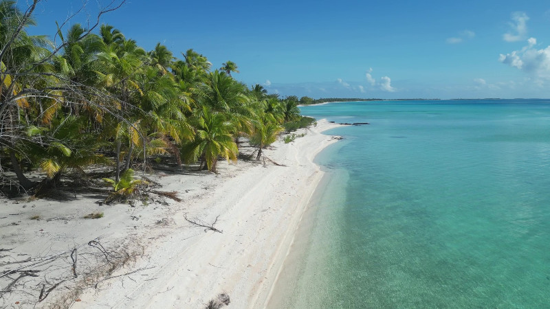 Beach at Toau SE